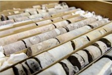 Core samples